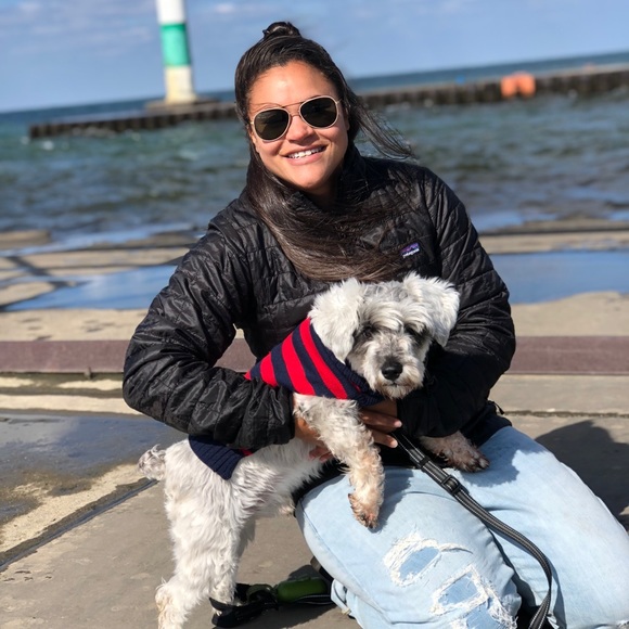 Meet your Posher, Skye - Picture 4 of 4